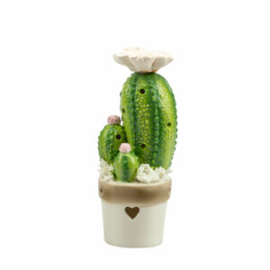 PIANTINA CACTUS/FICHIDINDIA CERAMICA 2 ASS.
