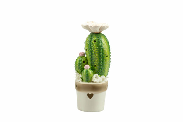 PIANTINA CACTUS/FICHIDINDIA CERAMICA 2 ASS.