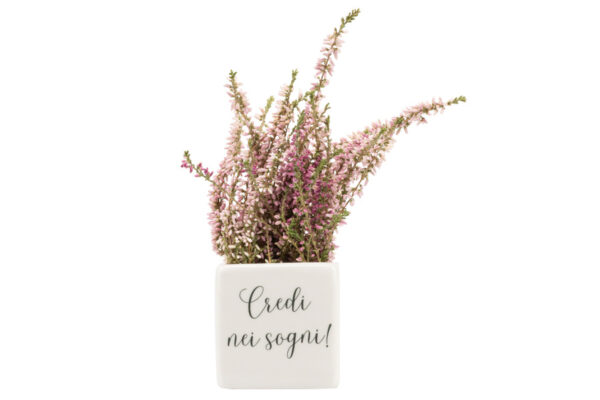 PORTA PIANTINA PORCELLANA BIANCA CON 6 FRASI ASS. - immagine 2