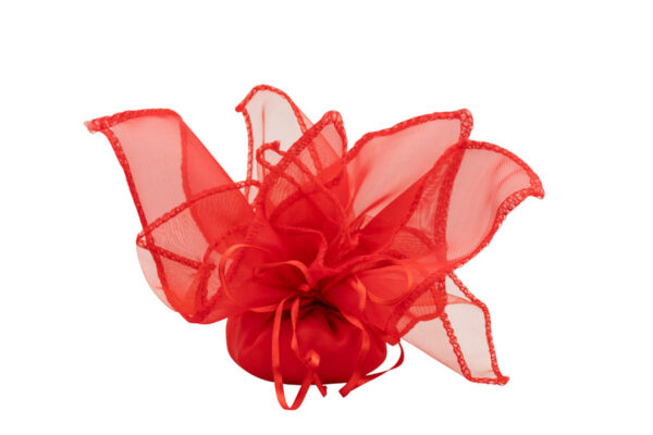 PENNA LAUREA CON CHARM 2 ASS. CON FAZZOLETTO ROSSO - immagine 3
