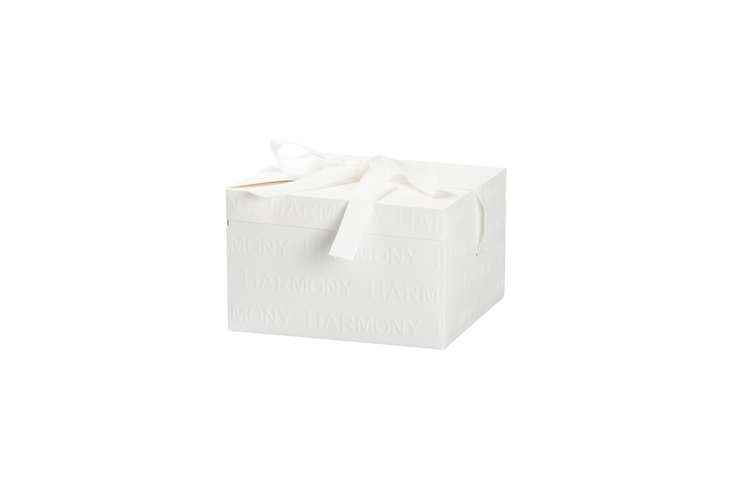 SFERA DI NEVE JUNGLE AMIMALS 3 ASS. CON BOX E SACCHETTO - immagine 4